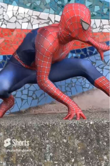 Home 4 box verticale spiderman